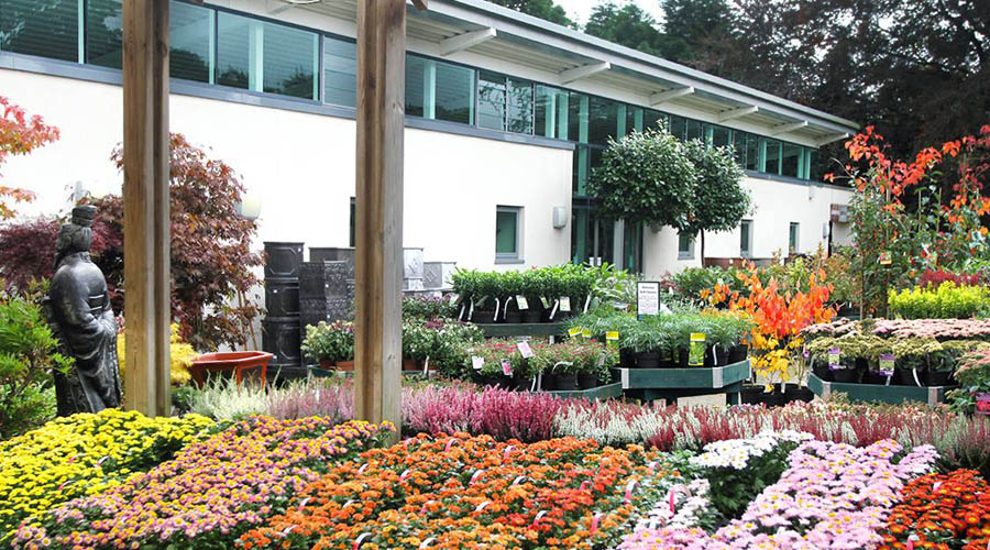 MORECAMBE BY THE SEA VINTAGE FESTIVAL & BEETHAM GARDEN NURSERY